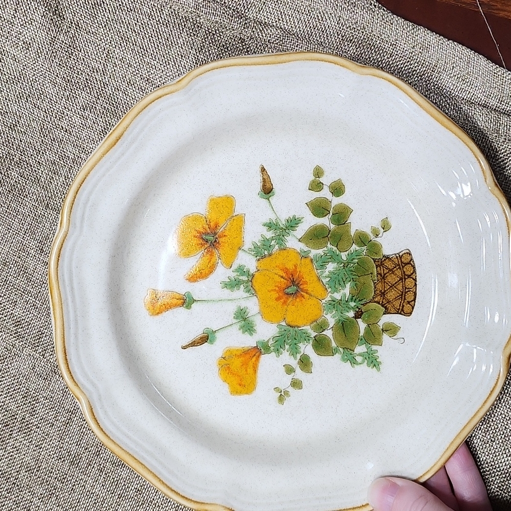 Mikasa original Petunias dinnerware. Never used we only had it as decoration.